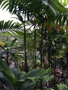 post-7381-0-75869400-1432885077_thumb.jp