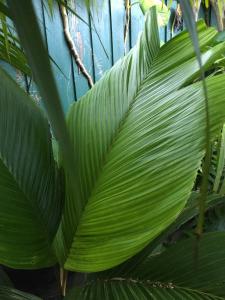 post-7381-0-77831800-1428827146_thumb.jp