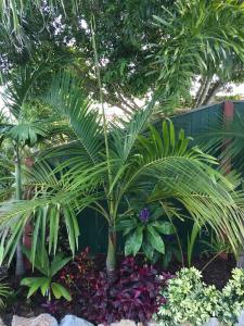 post-7381-0-78799600-1428824705_thumb.jp