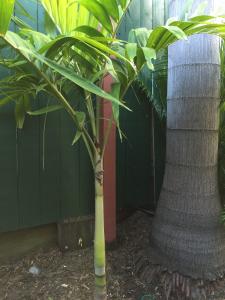 post-7381-0-78897300-1428825903_thumb.jp