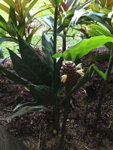 post-7381-0-80237900-1428828446_thumb.jp