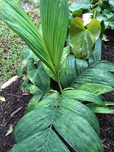 post-7381-0-80681600-1428829405_thumb.jp