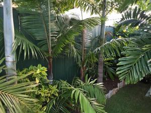 post-7381-0-86484600-1428824556_thumb.jp