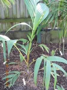 post-7381-0-87311600-1408578963_thumb.jp