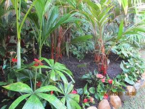 post-7381-0-87490400-1381569017_thumb.jp