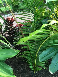 post-7381-0-87834600-1428825063_thumb.jp