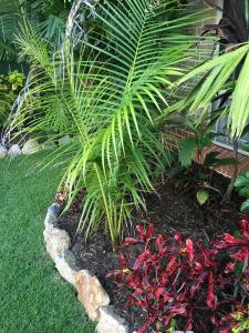 post-7381-0-91820500-1428824513_thumb.jp