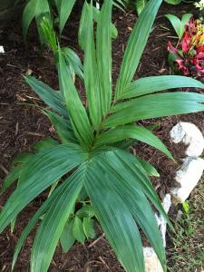 post-7381-0-92297900-1428829468_thumb.jp