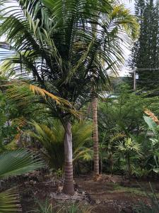 post-7381-0-92435100-1432885738_thumb.jp