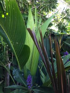 post-7381-0-93741800-1428827176_thumb.jp