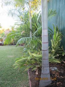 post-7381-0-94796200-1381569333_thumb.jp