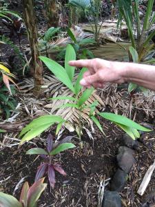 post-7381-0-94939400-1432886758_thumb.jp