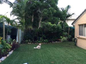 post-7381-0-96896200-1428828391_thumb.jp