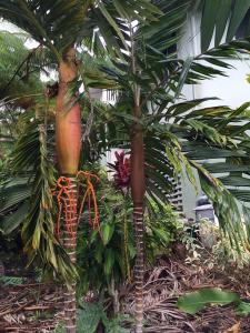 post-7381-0-98974200-1432888956_thumb.jp