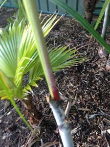 post-7433-0-62760700-1408871701_thumb.jp