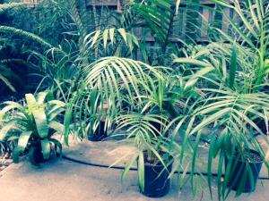 post-7463-0-89491700-1404528508_thumb.jp