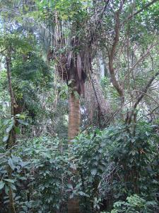 post-747-008368000 1328320237_thumb.jpg