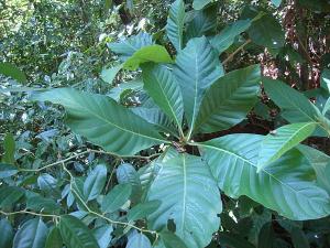 post-747-008634900 1328320585_thumb.jpg