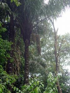 post-747-010800100 1328320193_thumb.jpg