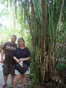 post-747-011001400 1328320544_thumb.jpg