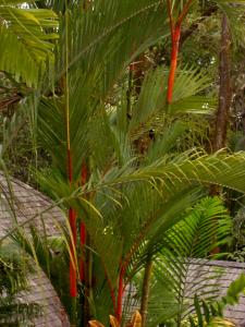 post-747-015036700 1334640491_thumb.jpg