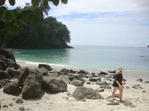 post-747-020701000 1328320390_thumb.jpg