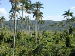 post-747-024383900 1327008759_thumb.jpg