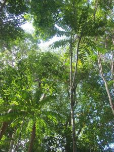 post-747-025484400 1328321137_thumb.jpg