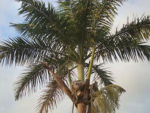 post-747-026621700 1327007417_thumb.jpg