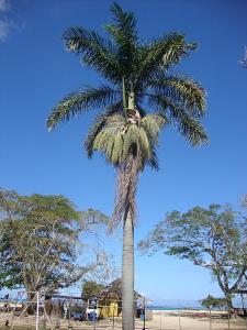 post-747-029414500 1327008092_thumb.jpg