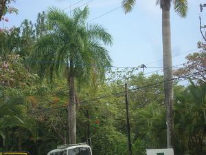 post-747-029815000 1334794563_thumb.jpg