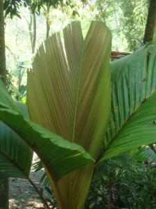 post-747-033852500 1334273310_thumb.jpg