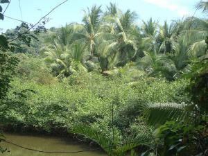 post-747-034579000 1328321356_thumb.jpg