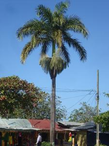 post-747-036564500 1327008004_thumb.jpg