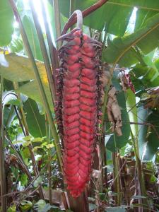 post-747-046697600 1328319321_thumb.jpg