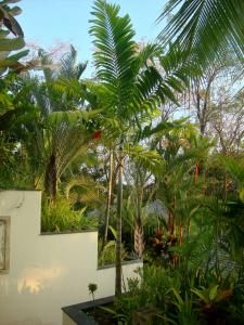 post-747-047755500 1334641589_thumb.jpg