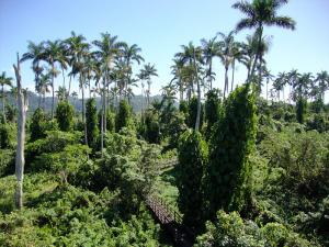 post-747-051431200 1327008740_thumb.jpg