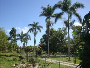 post-747-053065700 1327008362_thumb.jpg