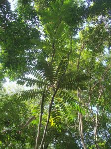 post-747-054434800 1328321148_thumb.jpg