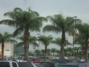 post-747-056073500 1339357728_thumb.jpg