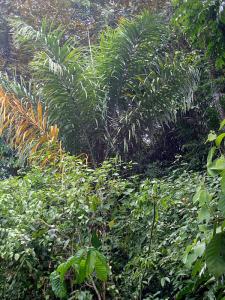 post-747-057174300 1328319914_thumb.jpg