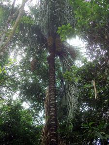 post-747-061153800 1328320145_thumb.jpg