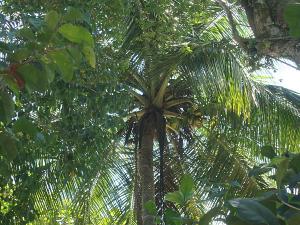 post-747-062228100 1328320600_thumb.jpg