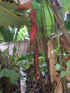 post-747-066409900 1328319361_thumb.jpg