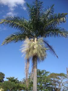 post-747-066895700 1327008057_thumb.jpg