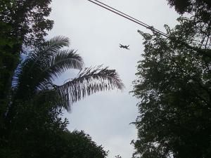 post-747-067070000 1328320343_thumb.jpg