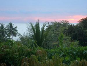 post-747-070013900 1328321544_thumb.jpg