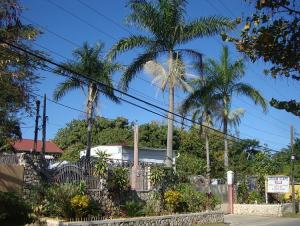 post-747-070184400 1327007930_thumb.jpg