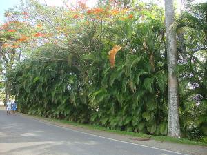 post-747-071852700 1334793851_thumb.jpg