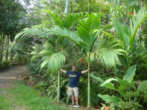 post-747-073041300 1335157422_thumb.jpg